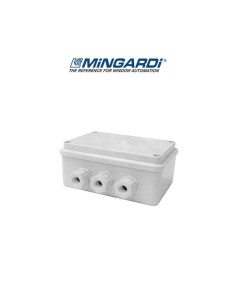 Control unit for 2 Mingardi Bianca motors item 2700171