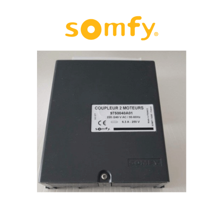 Comando per 2 operatori in tandem Somfy