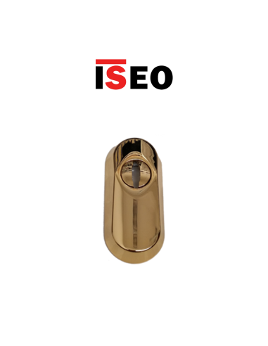 Defender for cylinder in tempered steel Iseo polished brass art. 98050206