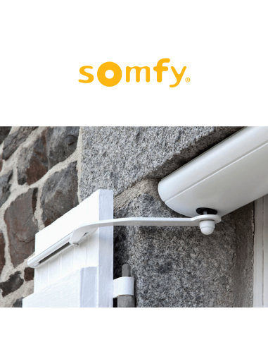 YSLO FLEX io 1P Somfy