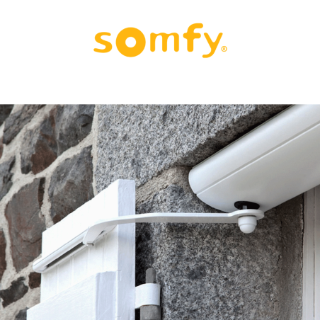 YSLO FLEX io 1P Somfy