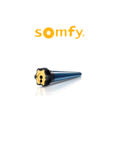 ILMO 2 50 WT Somfy