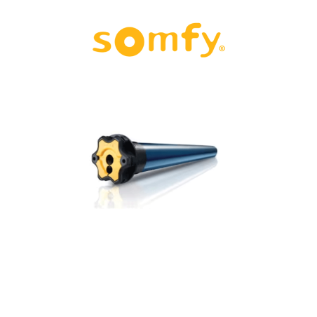 ILMO 2 50 WT Somfy