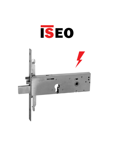 Iseo electric lock entry 100 flat front item 963920102