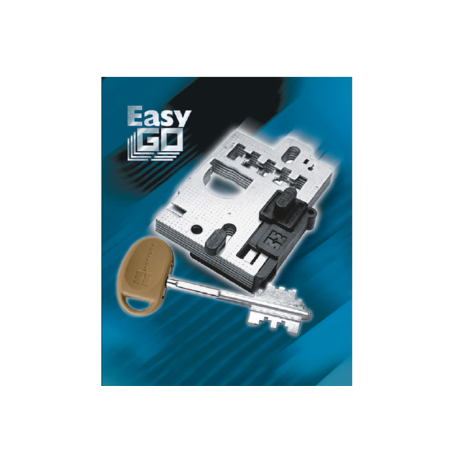 Spare part for Mottura Gorges Easy Go locks art. 91.384