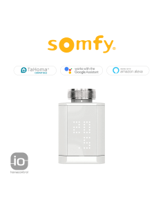 Valvola termostatica io Somfy 2