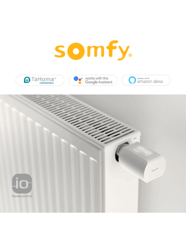 Valvola termostatica io Somfy | Accessori per Infissi