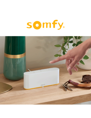 TAHOMA SWITCH Somfy - Device for remote home automation management