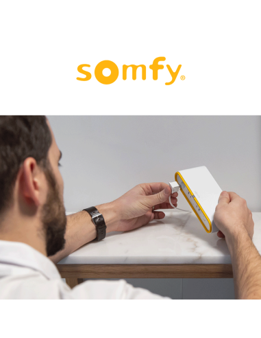 TAHOMA SWITCH Somfy - Device for remote home automation management