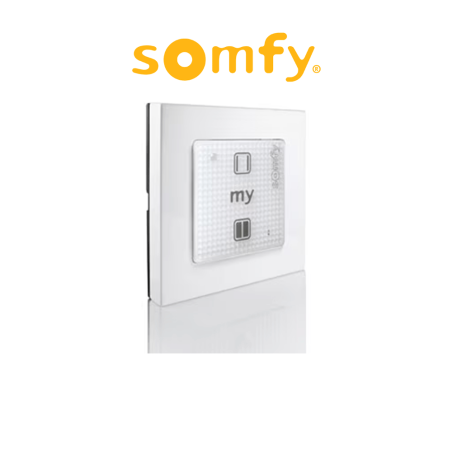 SMOOVE 1 O/C RTS Somfy - Wall control for horizontal openings
