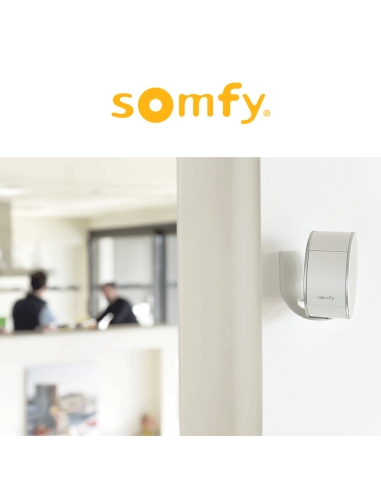 Wall mount for Somfy Indoor Camera