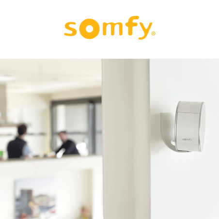 Supporto a muro per telecamera da interno Somfy Indoor Camera | Accessori per Infissi