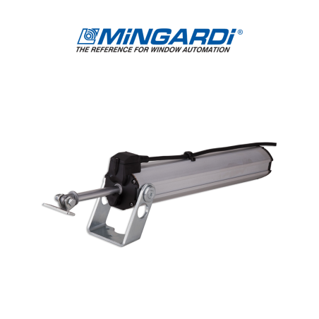 D8 Mingardi