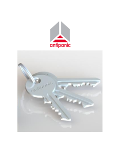 Chiave grezza per comandi esterni Antipanic | 1099T/K