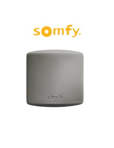 Ricevitore Radio Universale IO per cancelli e porte garage Somfy