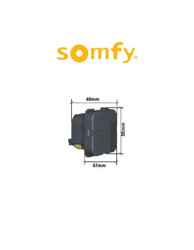 Trasmettitore radio RTS Somfy | Accessori per Infissi