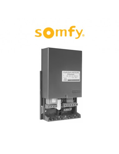 Command for 2 operators in tandem Somfy