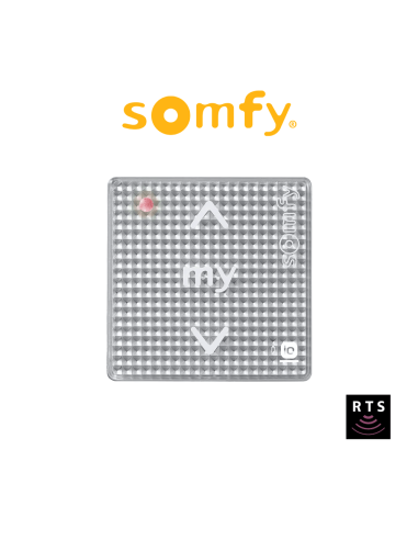 SMOOVE 1 RTS Silver Shine Somfy - Radiocomando monocanale per motori radio RTS