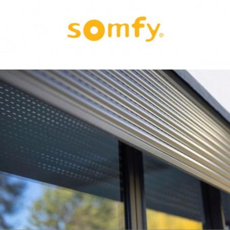 ALTUS 40 RTS Somfy motore radio per tapparelle