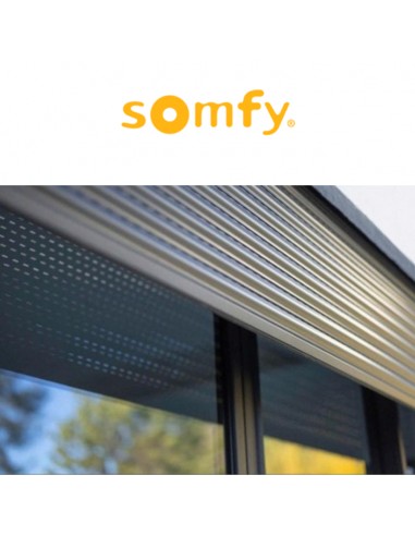 LS 40 WT Somfy motore per tapparelle