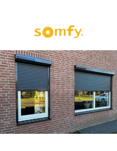 RS 100 SOLAR io Somfy motore per tapparelle