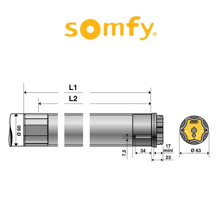 PERGOLA LTH 60 io 55/17 Somfy motore radio per pergole e lamelle