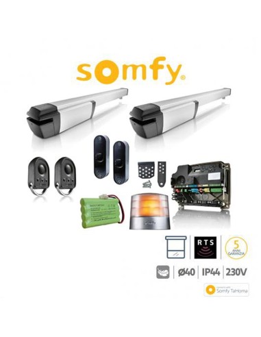 IXENGO L 24V RTS CFT PACK Somfy attuatore per cancelli battenti