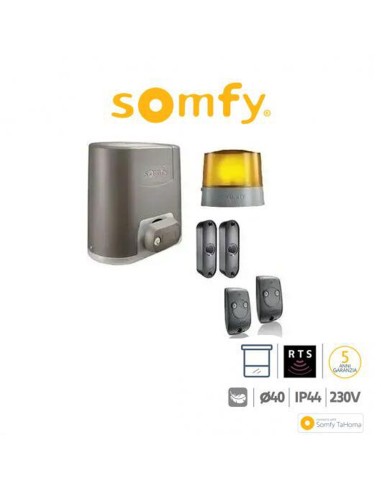ELIXO 800 230V RTS Somfy attuatore per cancelli battenti