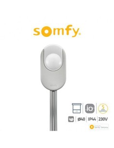 DEXXO SMART 800 IO Somfy motore per porte da garage 2
