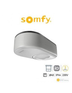 DEXXO SMART 1000 IO Somfy motore per porte da garage