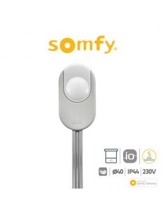 DEXXO SMART 1000 IO Somfy motore per porte da garage 2