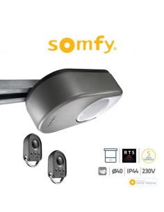 DEXXO PRO 800 RTS Somfy motore per porte da garage