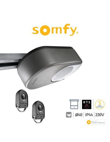 DEXXO PRO 800 RTS Somfy motore per porte da garage