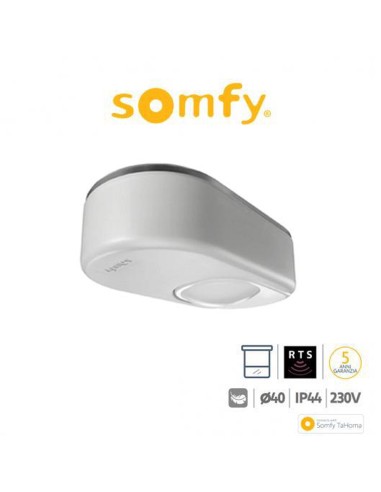 DEXXO OPTIMO RTS Somfy motore per porte da garage
