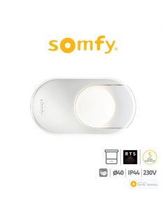 DEXXO PRO 1000 3S RTS KEYGO Somfy motore per porte da garage 2