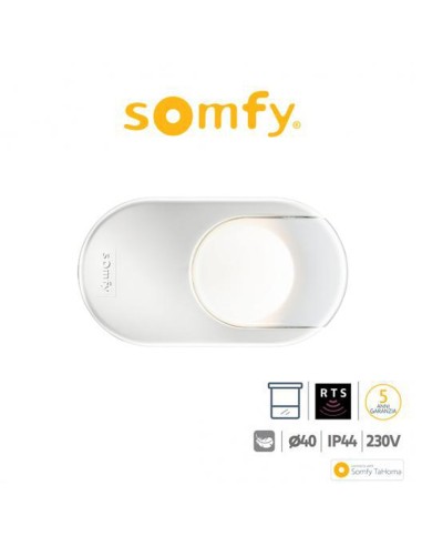 DEXXO PRO 1000 3S RTS KEYGO Somfy motore per porte da garage