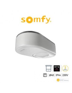 DEXXO PRO 1000 3S RTS KEYGO Somfy motore per porte da garage