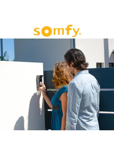V100+ RTS Videocitofono Somfy con Controllo Accessi RTS e Installazione a 2 Fili