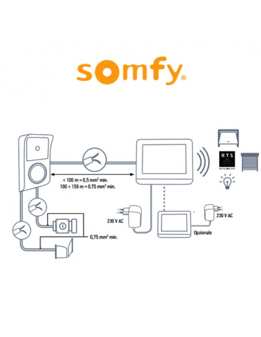 V100+ RTS Videocitofono Somfy con Controllo Accessi RTS e Installazione a 2 Fili