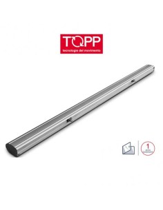 C160 RWA a doppia catena Topp - Attuatore elettrico a catena per finestre vasistas e lucernari