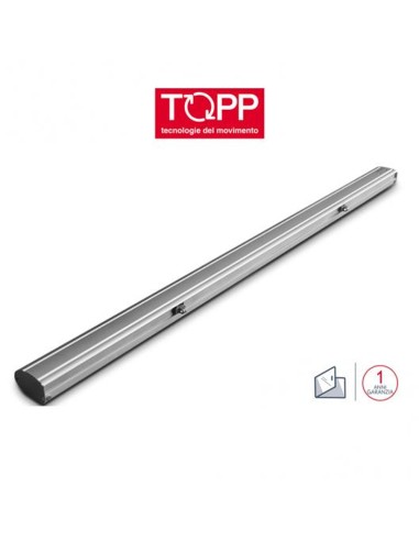 C160 RWA a doppia catena Topp - Attuatore elettrico a catena per finestre vasistas e lucernari