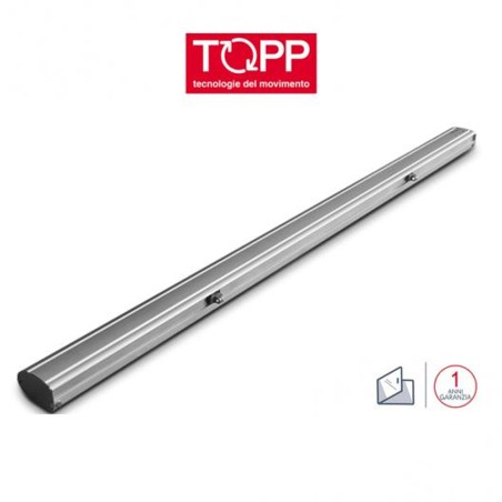 C160 RWA a doppia catena Topp - Attuatore elettrico a catena per finestre vasistas e lucernari