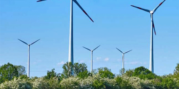 Perchè tutti dovremmo passare a energie rinnovabili